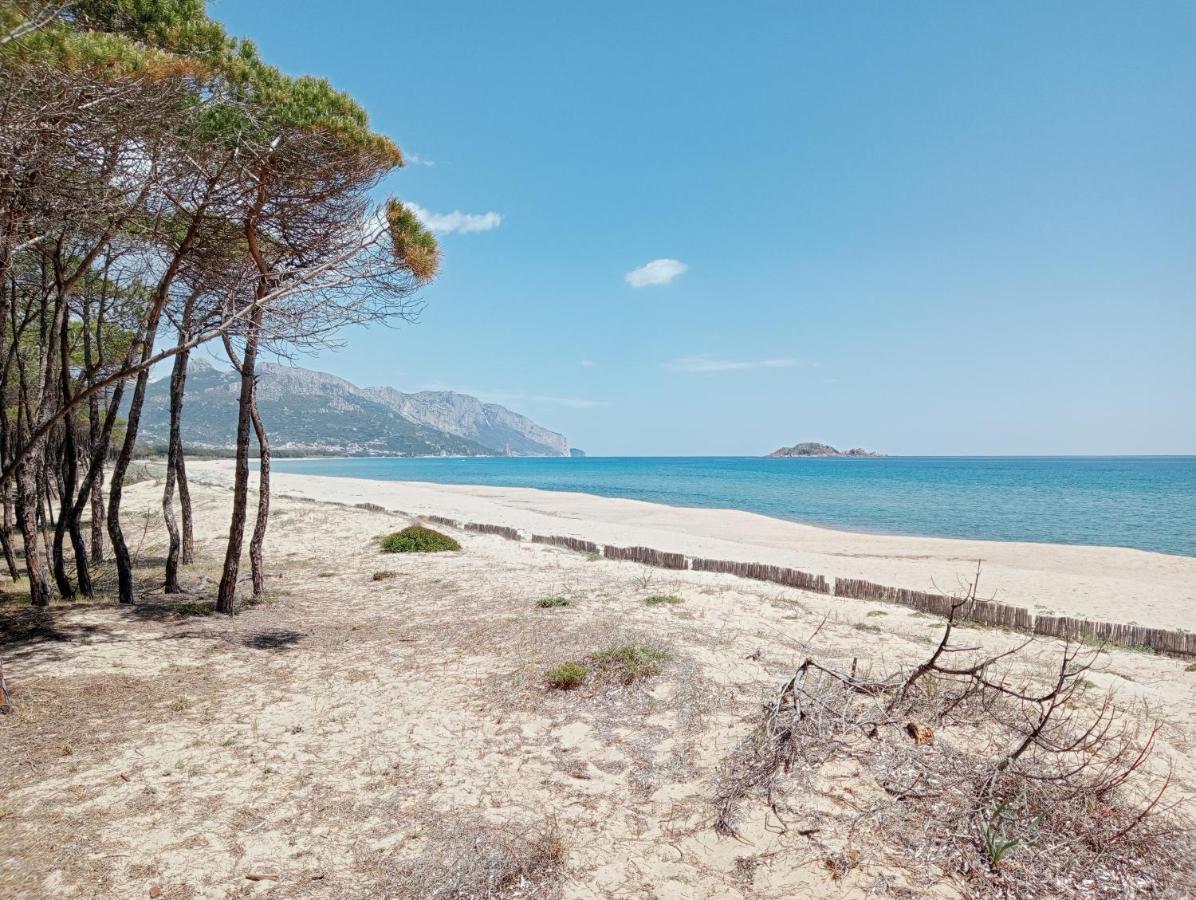 Locanda D'Ogliastra, Triei المظهر الخارجي الصورة